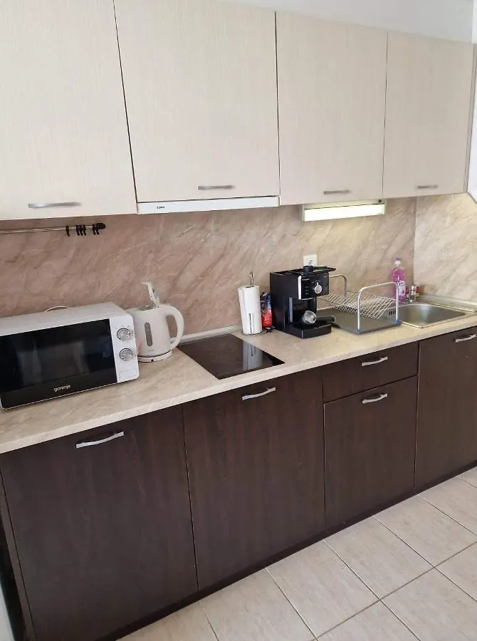 Green Life Beach Resort- Апартамент Фемили 2 소조폴 아파트